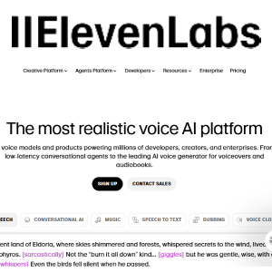 elevenlabs io