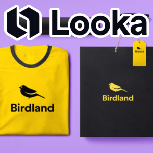 Looka AI
